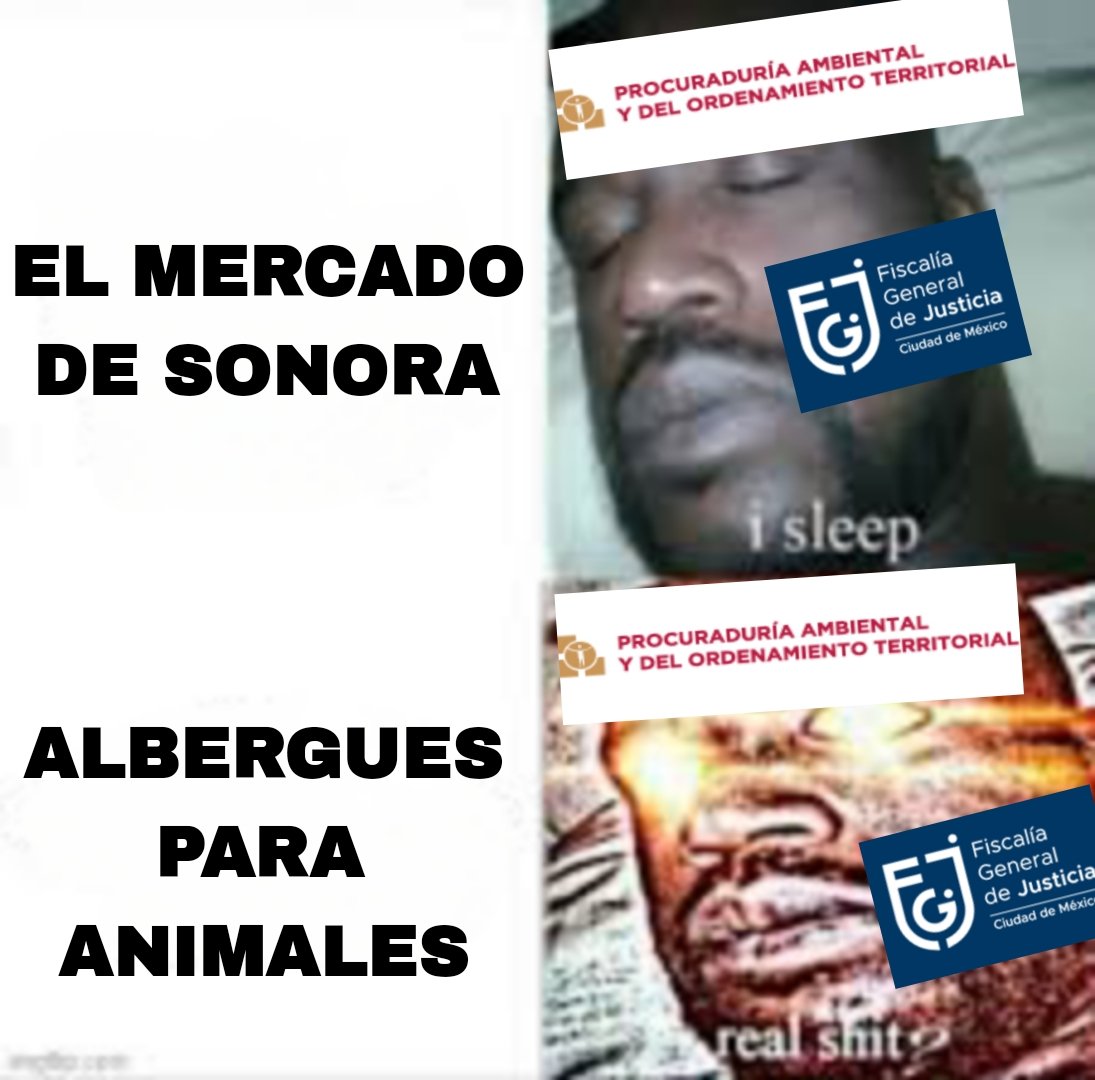 El Románov🚂⚡ (@elrromanov) on Twitter photo Hay que decirle a <a href="/ClaraBrugadaM/">Clara Brugada Molina</a>, <a href="/PAOTmx/">PAOT</a> y <a href="/FiscaliaCDMX/">Fiscalía CDMX</a> que el Mercado de Sonora es un refugio pequeño de animales para que se animen a hacer sus operativos como hicieron en la Narvarte Hay que decirle a <a href="/ClaraBrugadaM/">Clara Brugada Molina</a>, <a href="/PAOTmx/">PAOT</a> y <a href="/FiscaliaCDMX/">Fiscalía CDMX</a> que el Mercado de Sonora es un refugio pequeño de animales para que se animen a hacer sus operativos como hicieron en la Narvarte