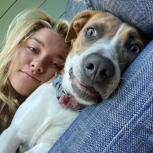 Actors love Pets.A thread.
Florence Pugh - "Pets are the real stars of our lives; they keep us grounded in love and simplicity."