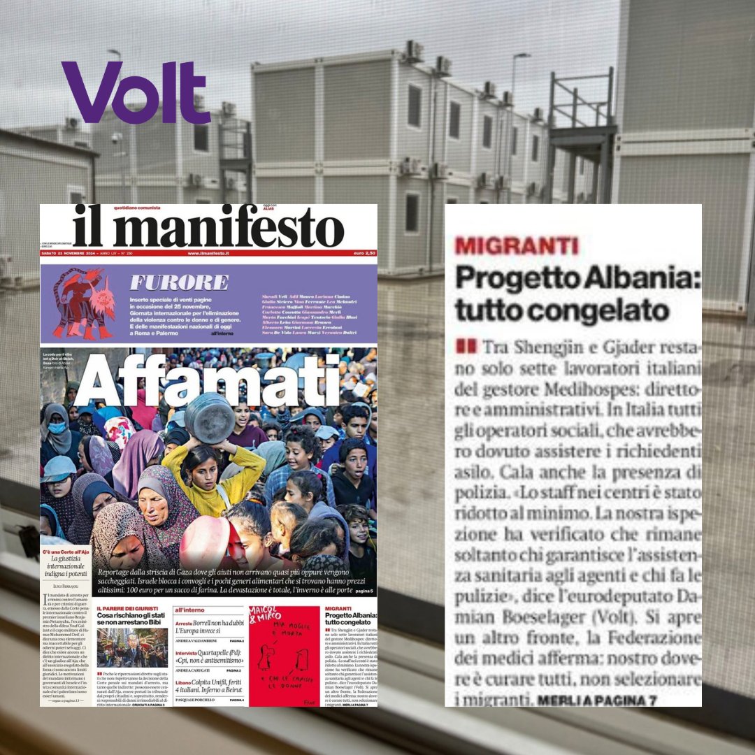 Daniela Patti tweet media