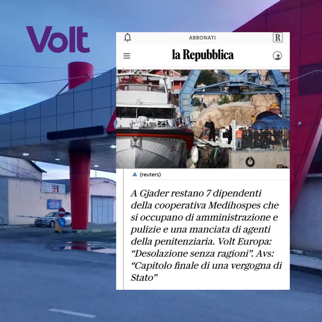 Daniela Patti tweet media