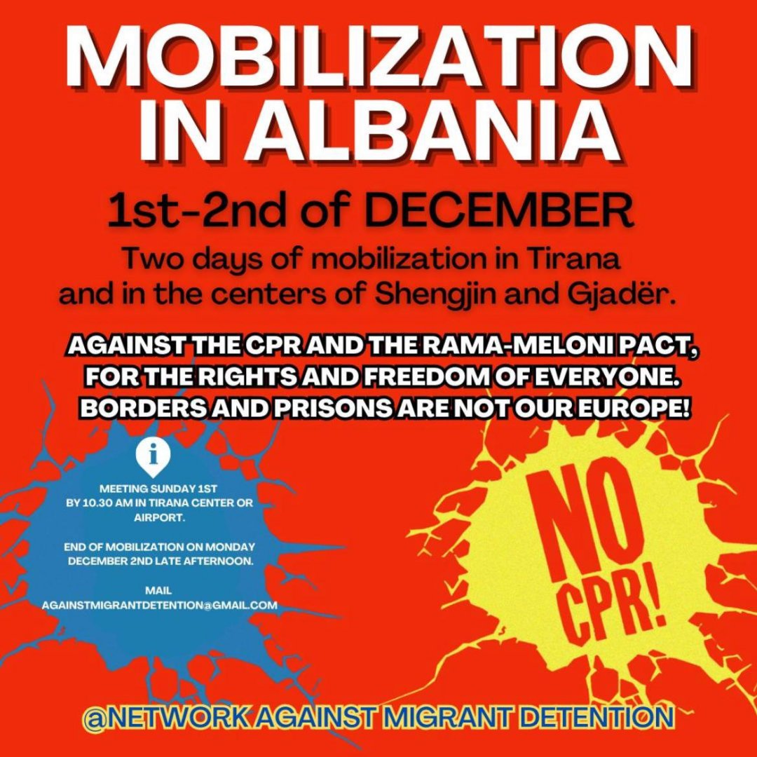 Daniela Patti tweet media