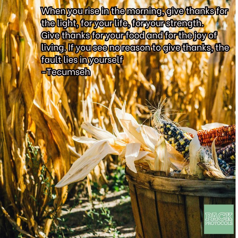 PackProtocols's tweet photo. An excerpt from a Native American poem that has great value and context. https://t.co/E0J2o0LKG9