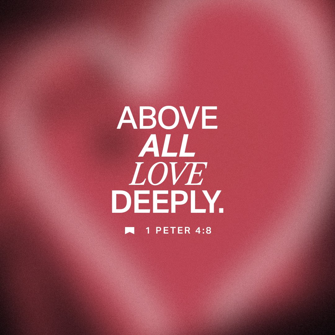 YouVersion Bible App tweet media