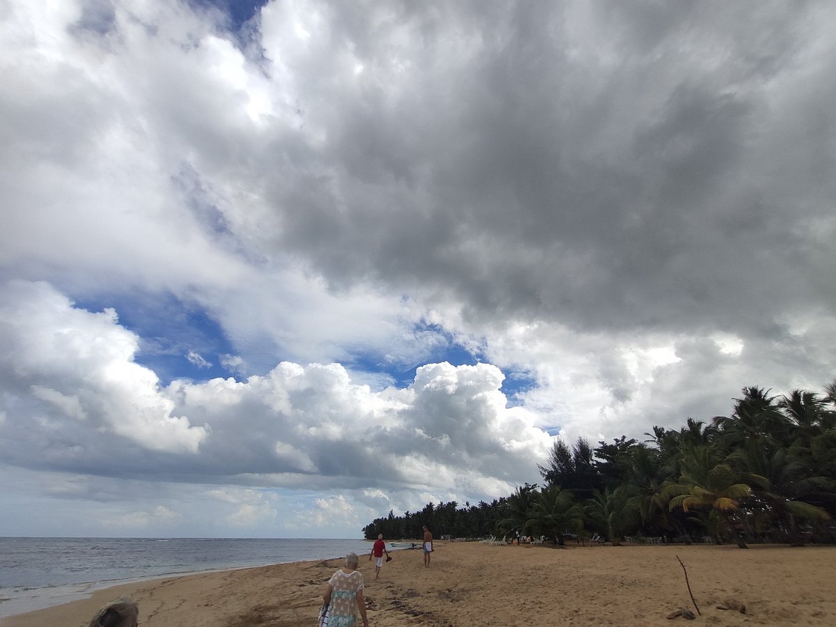 Dr. Johnson K. Jacob tweet media