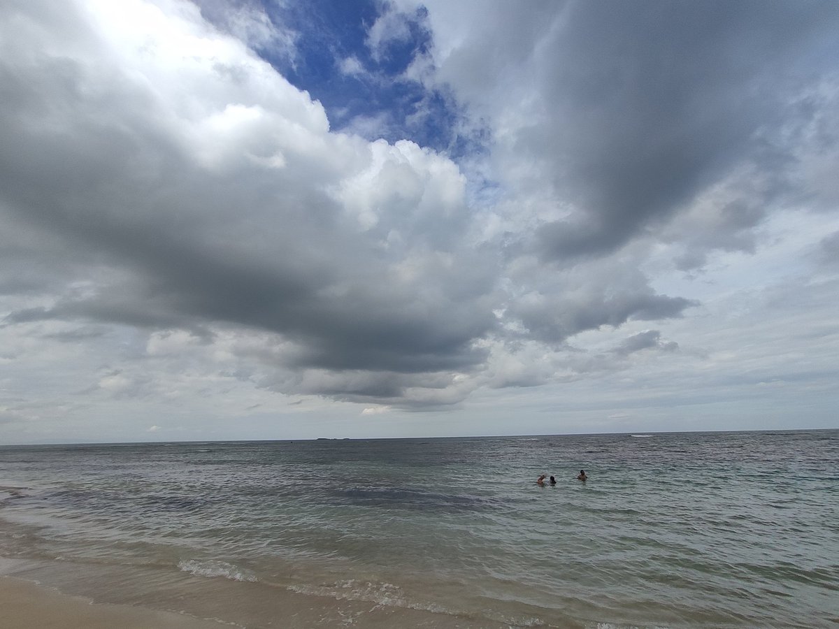 Dr. Johnson K. Jacob tweet media