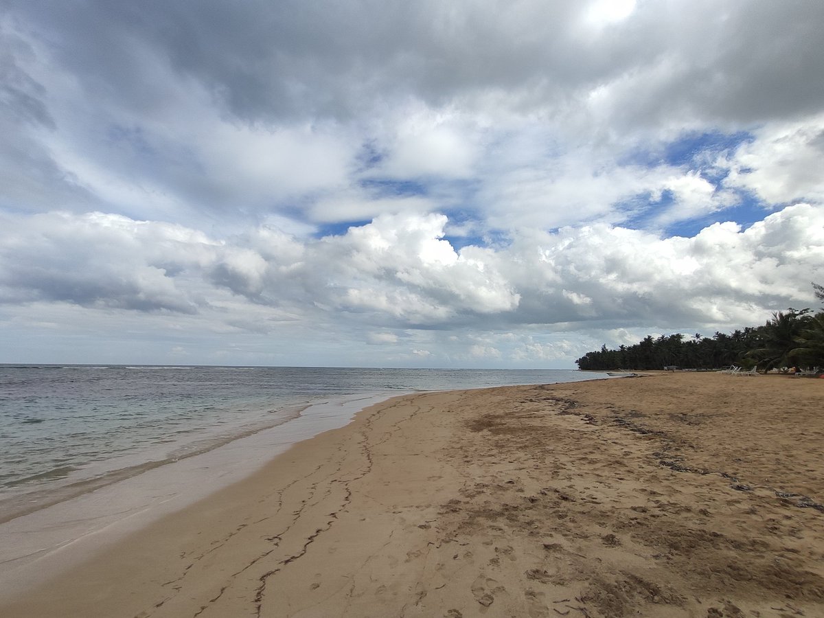 Dr. Johnson K. Jacob tweet media