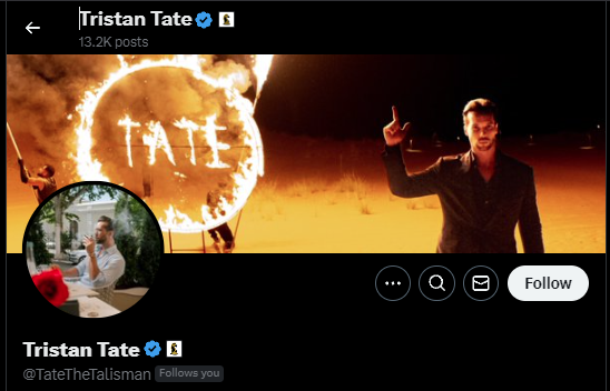 Hey <a href="/TateTheTalisman/">Tristan Tate</a> should we become friends?