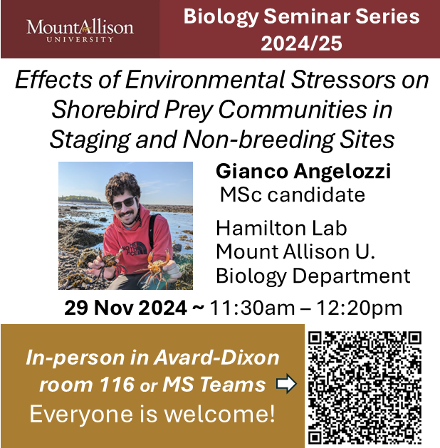 mta_science's tweet photo. This week's Biology Seminar is by MtA MSc candidate Gianco Angelozzi on 'The Effects of Environmental Stressors on Shorebird Prey Communities in Staging and Non-breeding Sites.' 
Fri Nov 29th at 11:30am in AVDX 116 or join via Teams.
The seminar series will resume in mid-Jan! https://t.co/gxfNJQPOa1