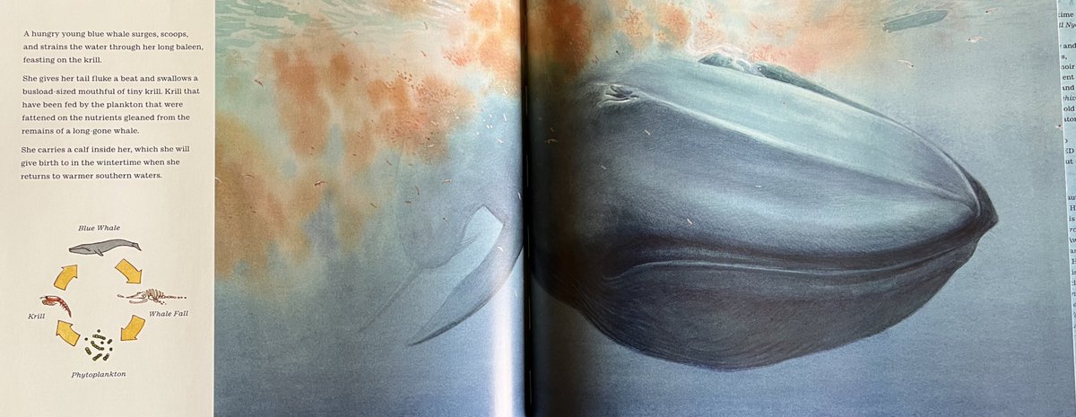 Simon Smith tweet media