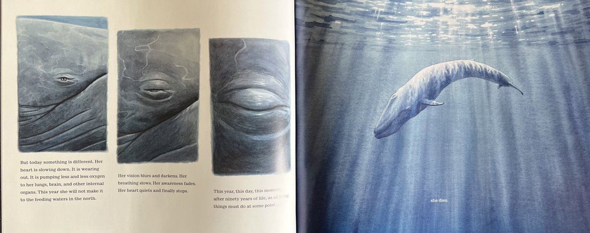 Simon Smith tweet media