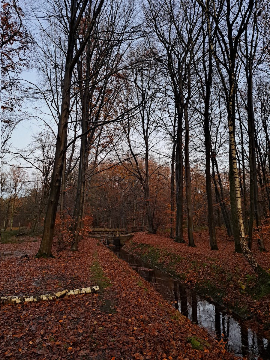 LCSEA's tweet image. Afgelopen twee dagen had ik het #Waterloopbos als werkplek. Gelukkig was er ook wat buitenruimte in t programma 💚🩵 Wat een mooie historische plek #natuurmonumenten