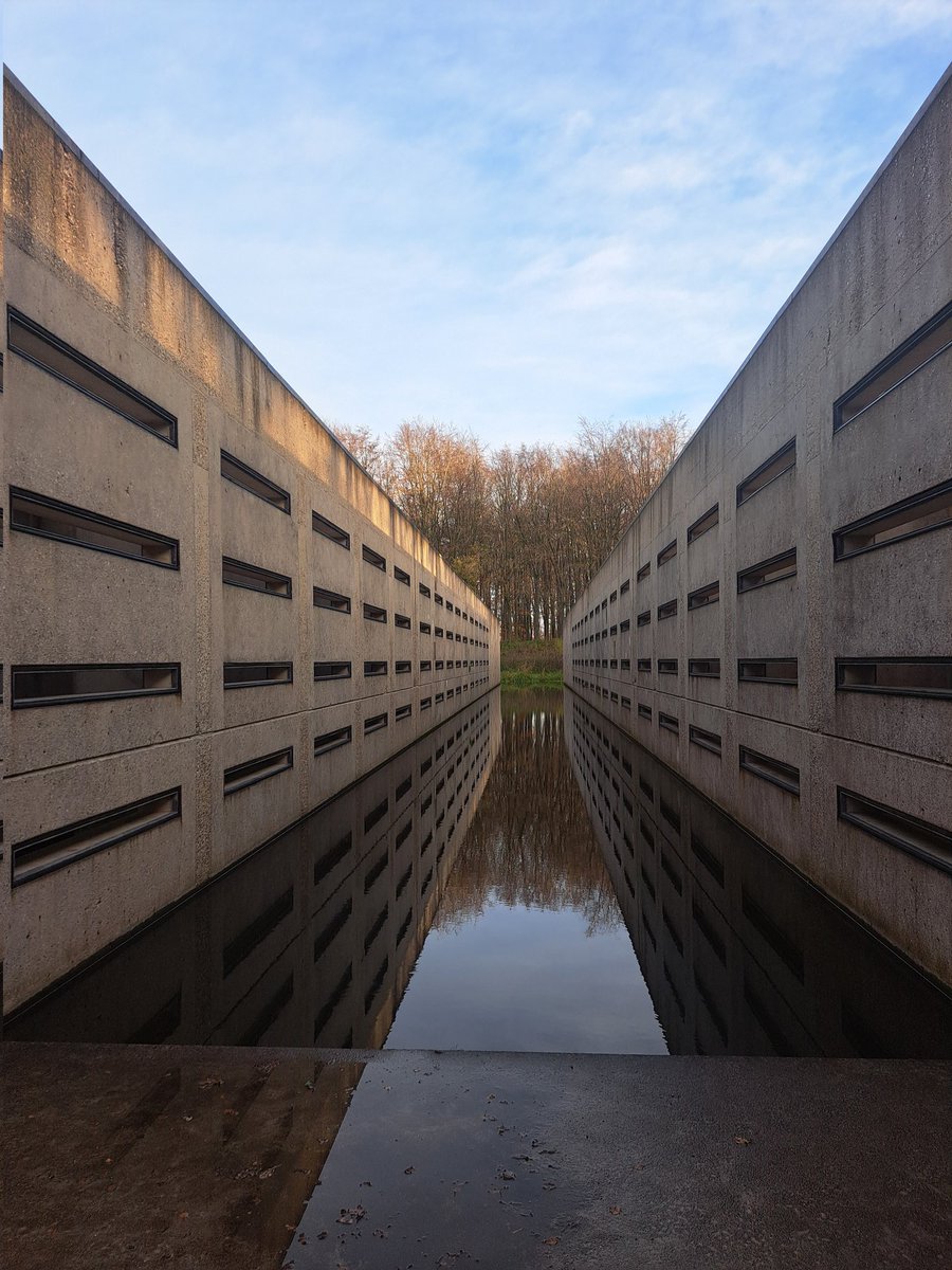 LCSEA's tweet image. Afgelopen twee dagen had ik het #Waterloopbos als werkplek. Gelukkig was er ook wat buitenruimte in t programma 💚🩵 Wat een mooie historische plek #natuurmonumenten