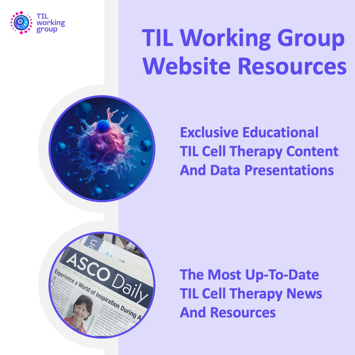TIL_Working's tweet photo. Your resource for TIL Cell Therapy has arrived!

Visit our website to learn more about what's new in TIL Cell Therapy here: https://t.co/USkrTlYxQH

#Oncology #CellTherapy #TILCellTherapy #MedicalNews #Healthcare #OncTwitter https://t.co/S76tzC0CLh