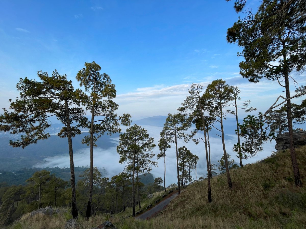 maniacmeet's tweet image. Just had an amazing time at #KasarDevi #Uttarakhand!

It's one of only 3 places on Earth located on the Van Allen Belt, known for its magical and healing vibes.

This off-beat spot is perfect to escape city life. Spend 2-3 days here for a tranquil retreat. 🌄✨

#TravelDiaries