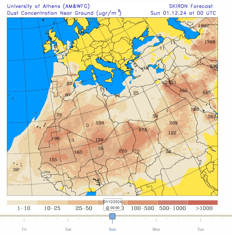 Migrant Lepidoptera tweet media