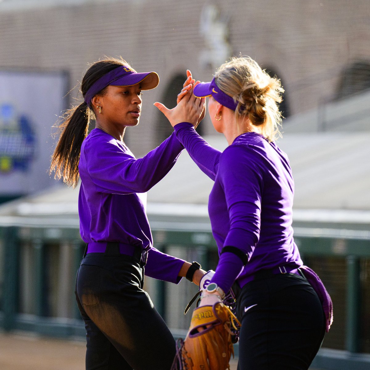 💜 Purple team reigns supreme in the Purple &amp; Gold World Series! 

#GeauxTigers