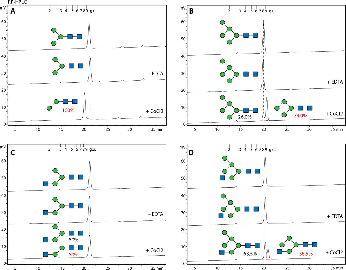 New in JBC press: "Scientists' data demonstrated that AMAN-3 is a Golgi α-mannosidase required for core fucosylation of the distal GlcNAc of N-glycans."
Learn more:
jbc.org/article/S0021-…