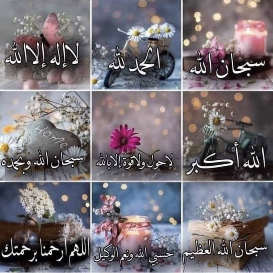 اَلسَّلامُ عَلَیْکُمْ وَرَحْمَةُﷲِ وَبَرَکَاتُهُ
#صـبح_بخـیر

تمام آسمانوں اور زمین میں اور ان میں جو کچھ ہے اس سب کی بادشاہی اللہ ہی کے لیے ہے، اور وہ ہر چیز پر پوری قدرت رکھتا ہے۔

( سورۃ المائدة - آیت 120 )
#عینی
#خاتمُ_الانبِیاء_وَالمُرسلِین_محمدﷺ
