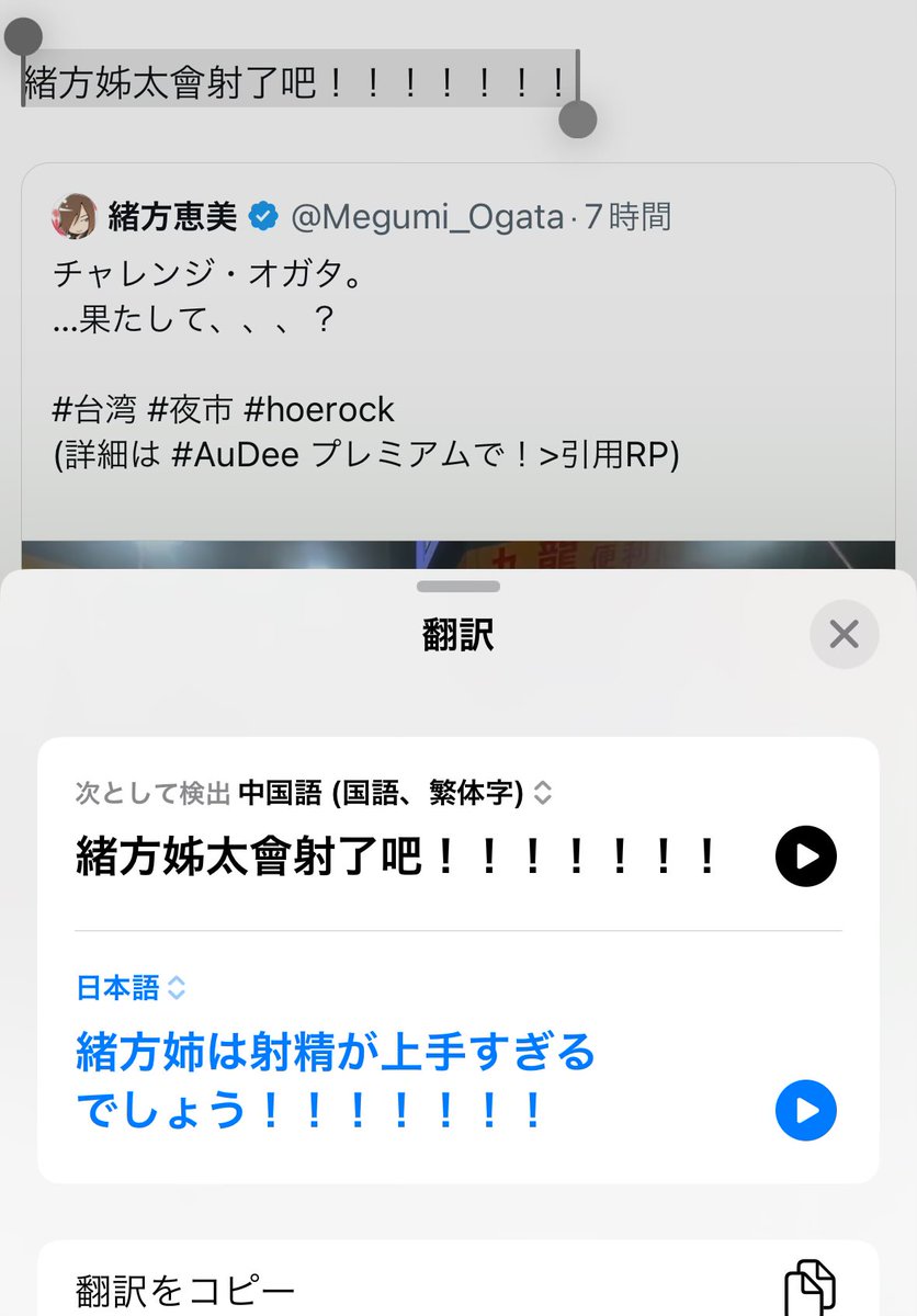 Megumi_Ogata's tweet photo. この翻訳は、、、あってるのか、、、？ https://t.co/a5t9CnPJ6x