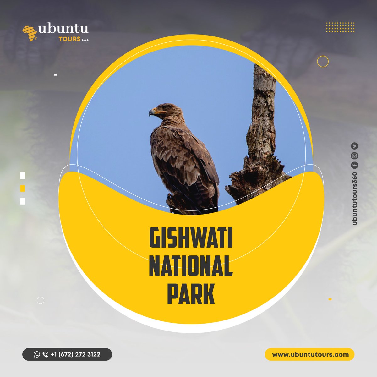 UbuntuTours_360's tweet photo. Step in the breathtaking beauty of Gishwati National Park and witness the majestic wildlife in their natural habitat. 🦅🌳🌿

#UbuntuTours
#GishwatiNationalPark
#WildlifePhotography
#TravelExperience
#VisitRwanda
#AdventureAwaits
#TravelAfrica
#EcoTourism
#BirdWatching
#Nature https://t.co/PhWrlLy5kt