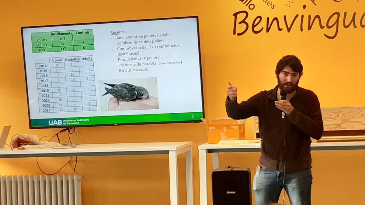 UABBarcelona's tweet photo. 📣Avui ha tingut lloc una jornada divulgativa sobre la rica biodiversitat al campus #UAB

🦋🐝🐦‍⬛Papallones, petits mamífers, abelles, falciots, orquídies i rèptils i amfibis n'han estat els protagonistes.

@biblioteques_UAB  #sostenibilitatUAB

https://t.co/GJbA0DCY5i https://t.co/0JRQBTTYEh
