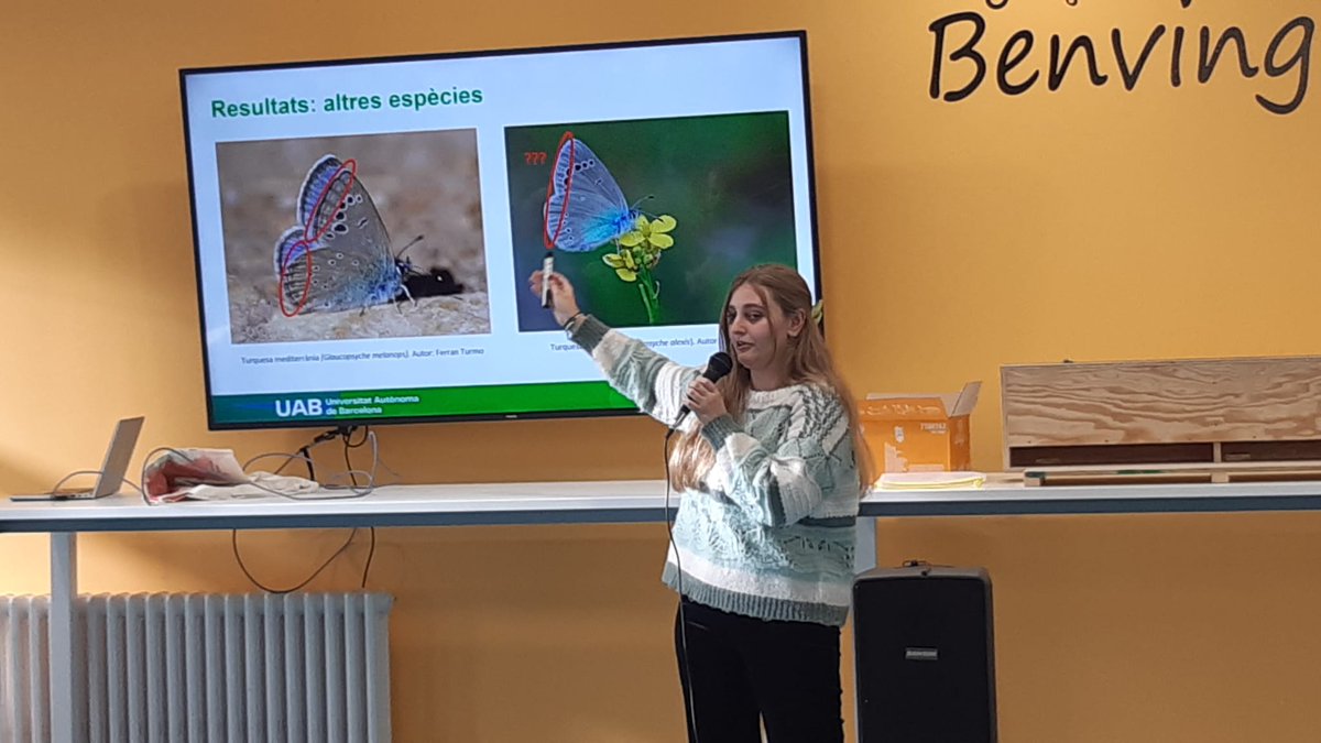 UABBarcelona's tweet photo. 📣Avui ha tingut lloc una jornada divulgativa sobre la rica biodiversitat al campus #UAB

🦋🐝🐦‍⬛Papallones, petits mamífers, abelles, falciots, orquídies i rèptils i amfibis n'han estat els protagonistes.

@biblioteques_UAB  #sostenibilitatUAB

https://t.co/GJbA0DCY5i https://t.co/0JRQBTTYEh