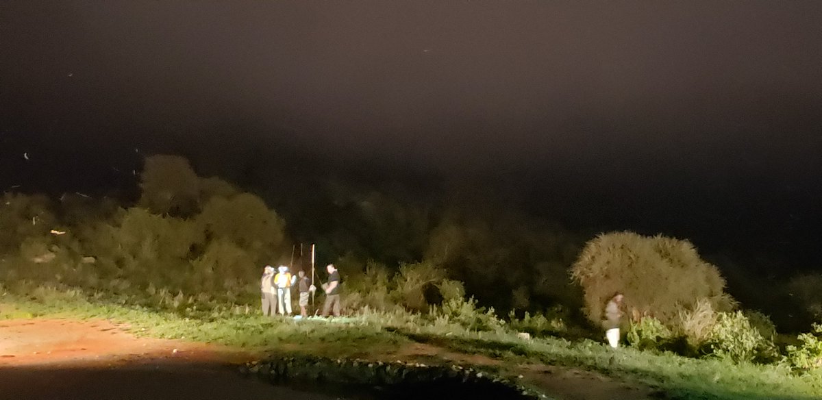 arochakenya's tweet photo. The mist came in and did us well at #nguliaringing! 14 hours of solid #ringing later we had ringed 1,930 migrants &amp; 73 Afros! 5 Olivaceous Wblrs, 123 shrikes, Golden Oriole, Blk-hdd Oriole, Button-quail, 1 Basra Reed were highlights. #ngulia #birds #tsavowest #kslhotels https://t.co/chJCJGmqbT