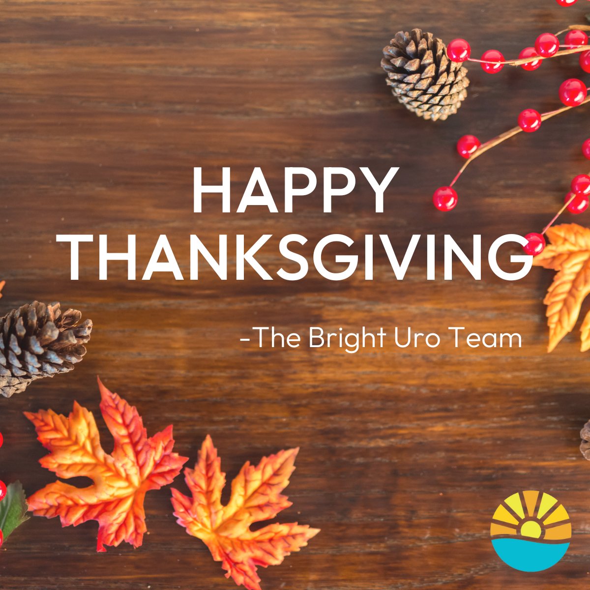 🍂🦃 Happy Thanksgiving from the Bright Uro Team! 🦃🍂

This holiday season, we’re grateful for having a mission we’re passionate about: to restore dignity and improve bladder health for patients everywhere.
#happythanksgiving #bladderhealth #healthinnovation
