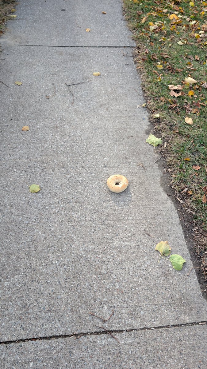 Sara~✨ tweet media