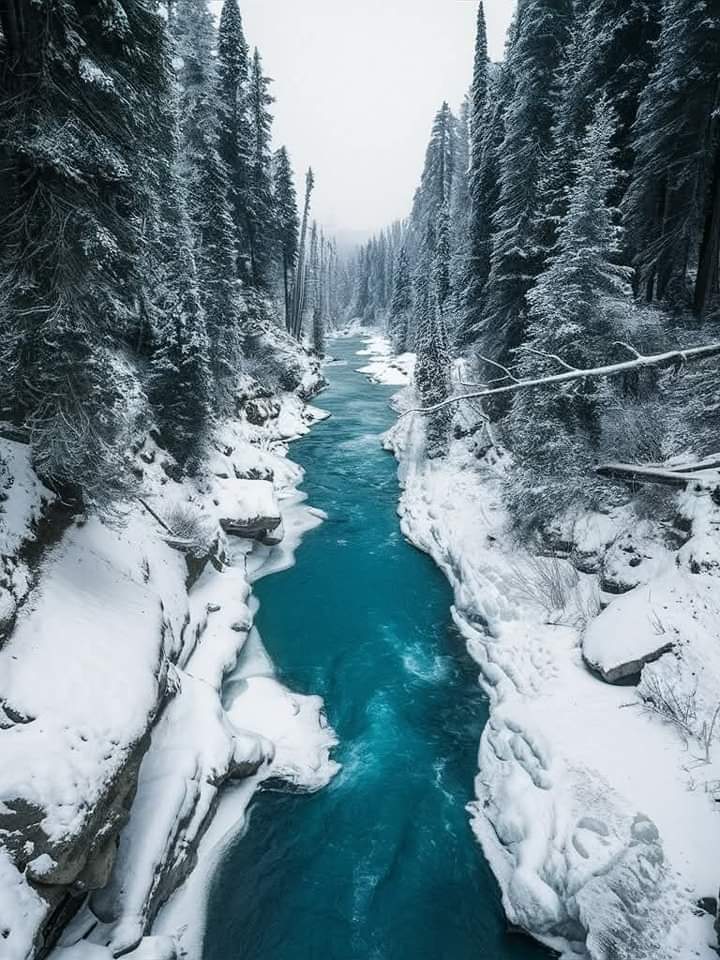 "No man ever steps in the same river twice, for it's not the same river and he's not the same man."

Heraclitus