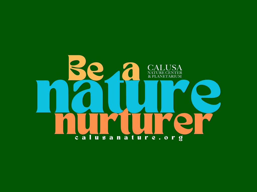🍂🦃 Happy Thanksgiving! 🦃🍂 This holiday season, there’s so much to be thankful for! Black Friday Deal: Save 20% on all new memberships! 💚🌿calusanature.org/so/24PDl1Kew?l…  #BlackFridayDeals #SupportNature #CalusaNature