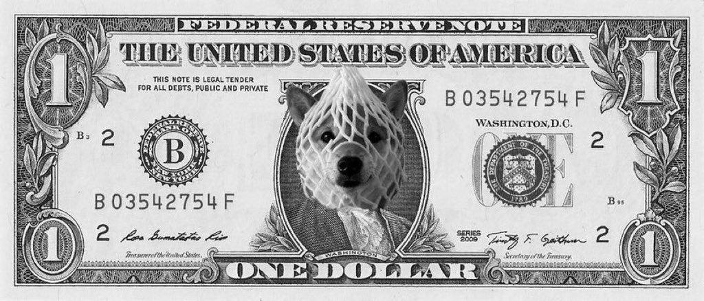 w808SHORTYPUFF tweet media