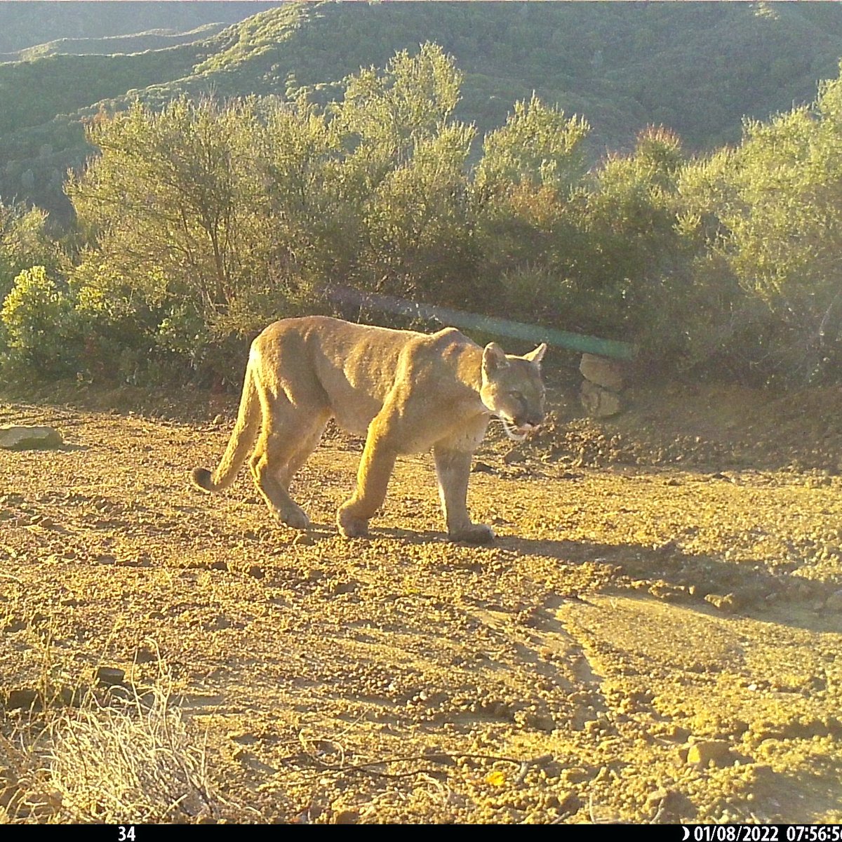 Mitchell Parsons tweet media