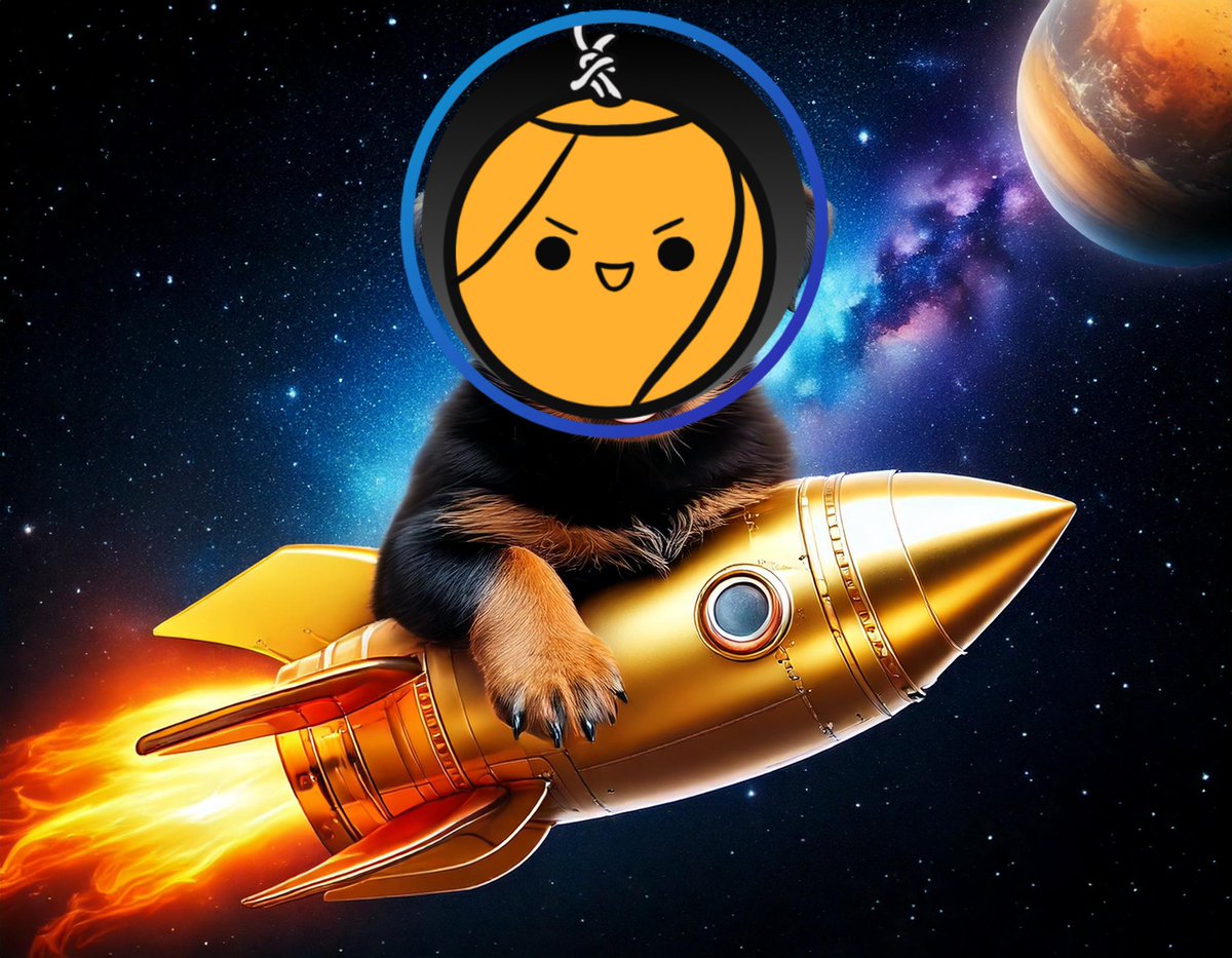 gearclan50's tweet image. Success is based on the investment you make. #tball  #tetherballcoin