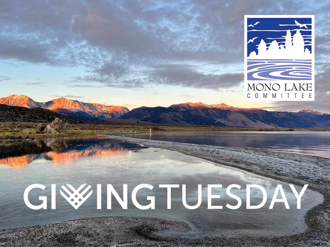 It's #GivingTuesday week! All gifts made through Dec. 3 will be matched up to $60,000, thanks to the generosity of a longtime member. This is the largest match we've ever had—can you help us reach our goal for #MonoLake by donating at monolake.org?📷 by Leslie Redman