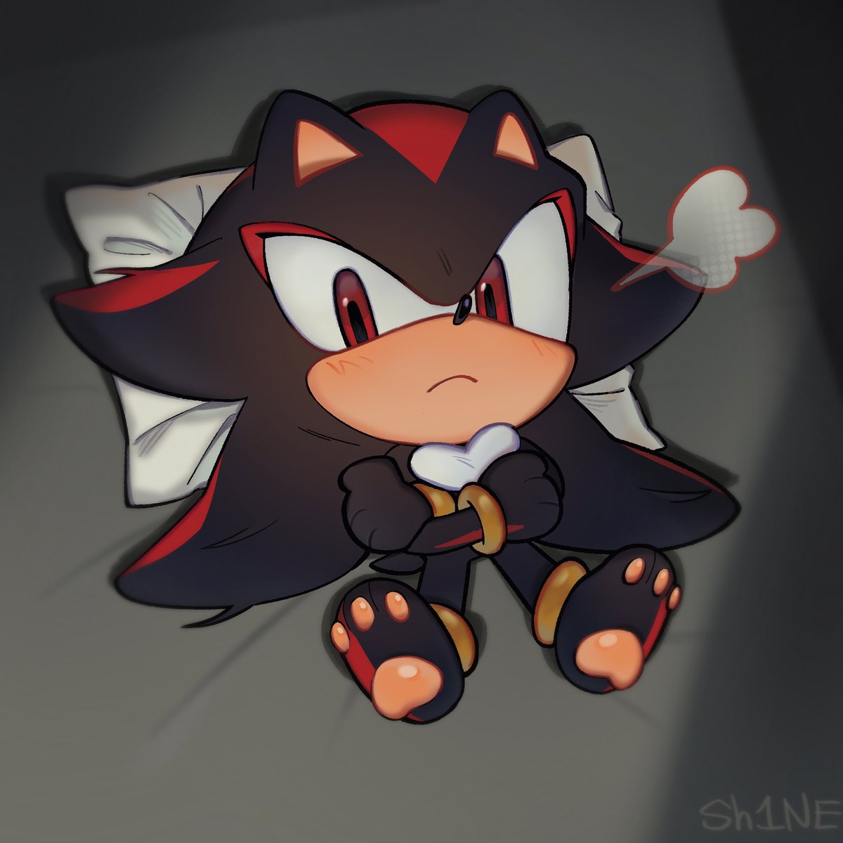He seems to be waiting for someone
#ShadowTheHedgehog