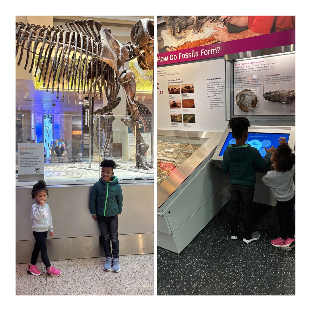 Stephanie Workman-Bolden tweet media