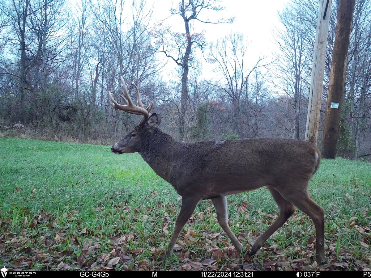 Danny Robinson tweet media