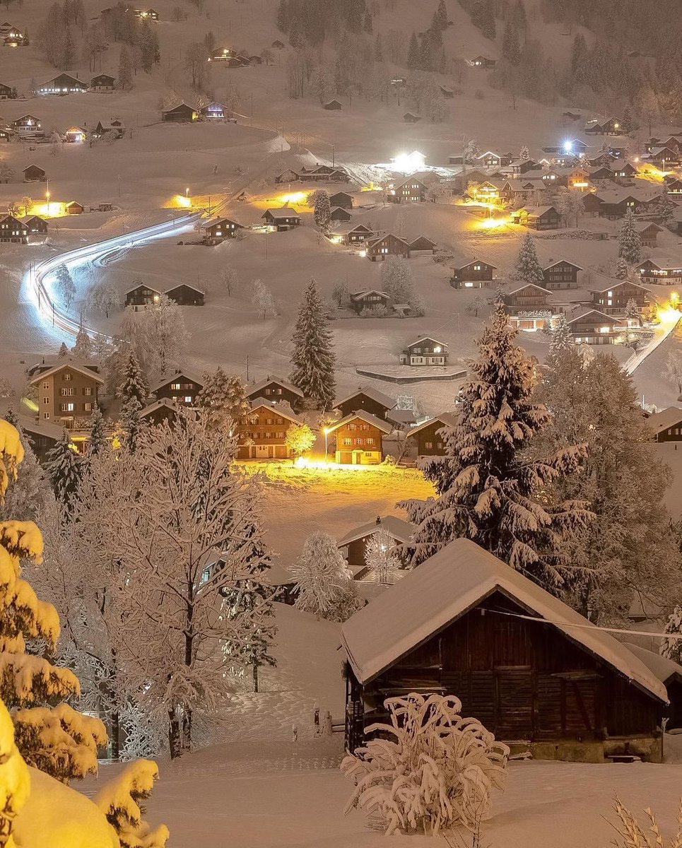 tmbIrpics's tweet photo. Swiss 🌨️ ❄️ https://t.co/1k6tjvi28o