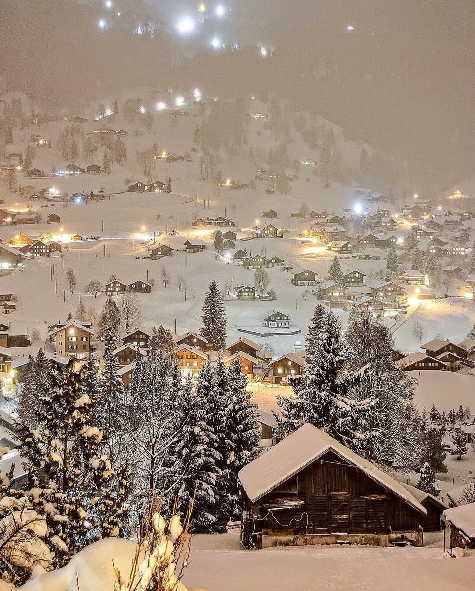tmbIrpics's tweet photo. Swiss 🌨️ ❄️ https://t.co/1k6tjvi28o