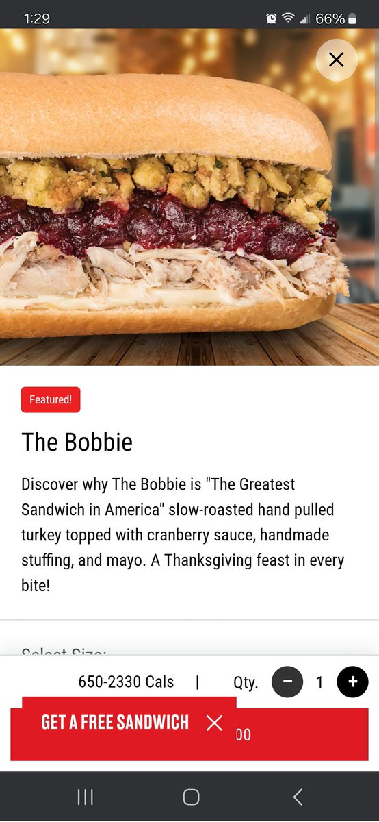 HeathDonath's tweet photo. @PatMcAfeeShow get u one of these Samiches Thanksgiving in a bunch! https://t.co/yrcdcj1nvG