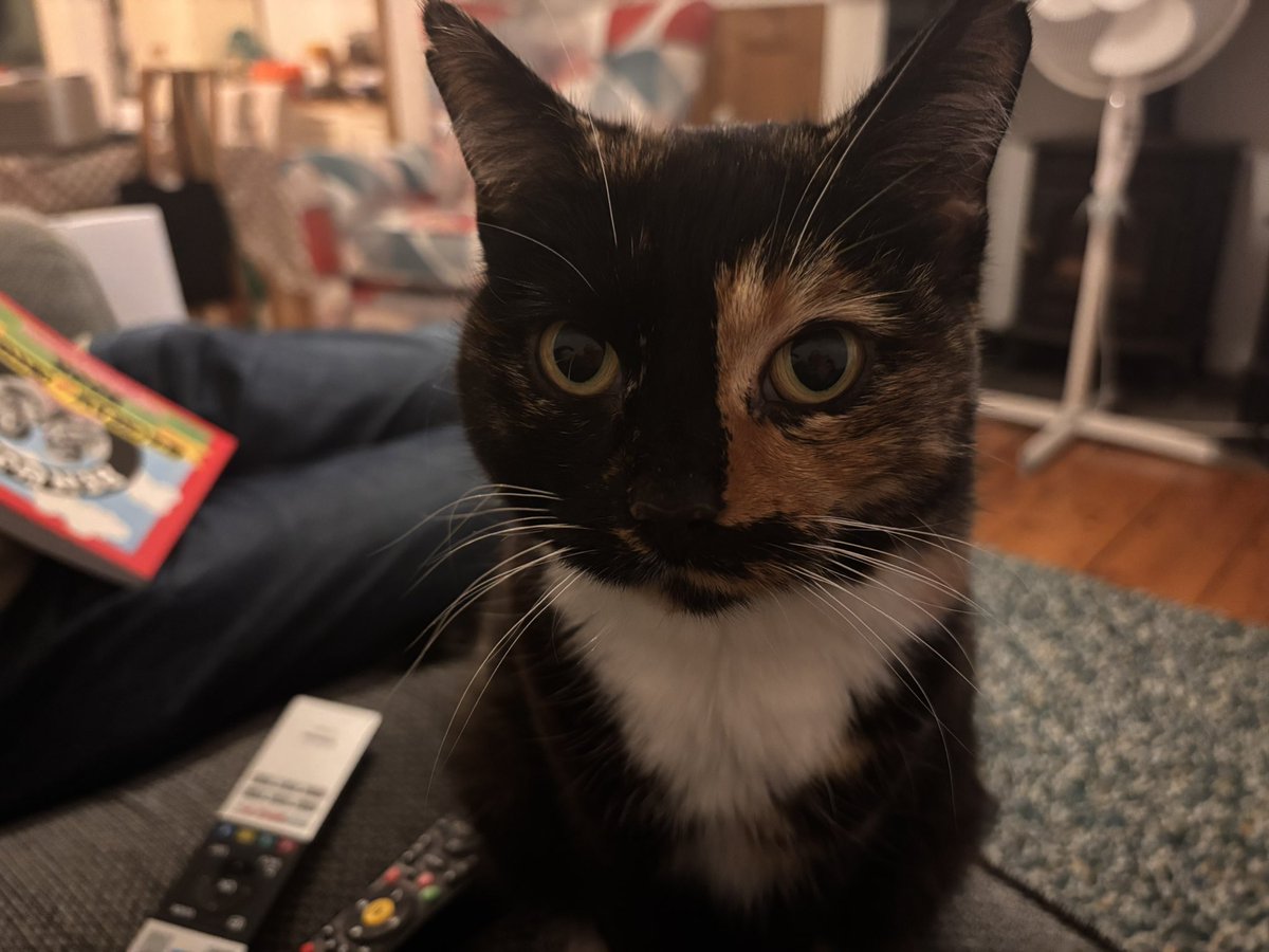 Professor Pingosaurus tweet media