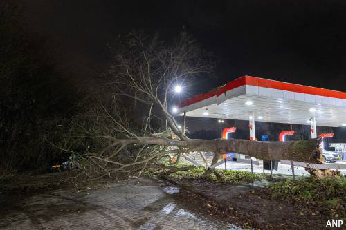transportonline's tweet image. Storm Conall trekt aan tot windkracht 10 op de Wadden

Lees verder: transport-online.nl/67312/storm-co…

#stormconall #conall #Waddeneilanden #Wadden #storm #windkracht10 #codeoranje