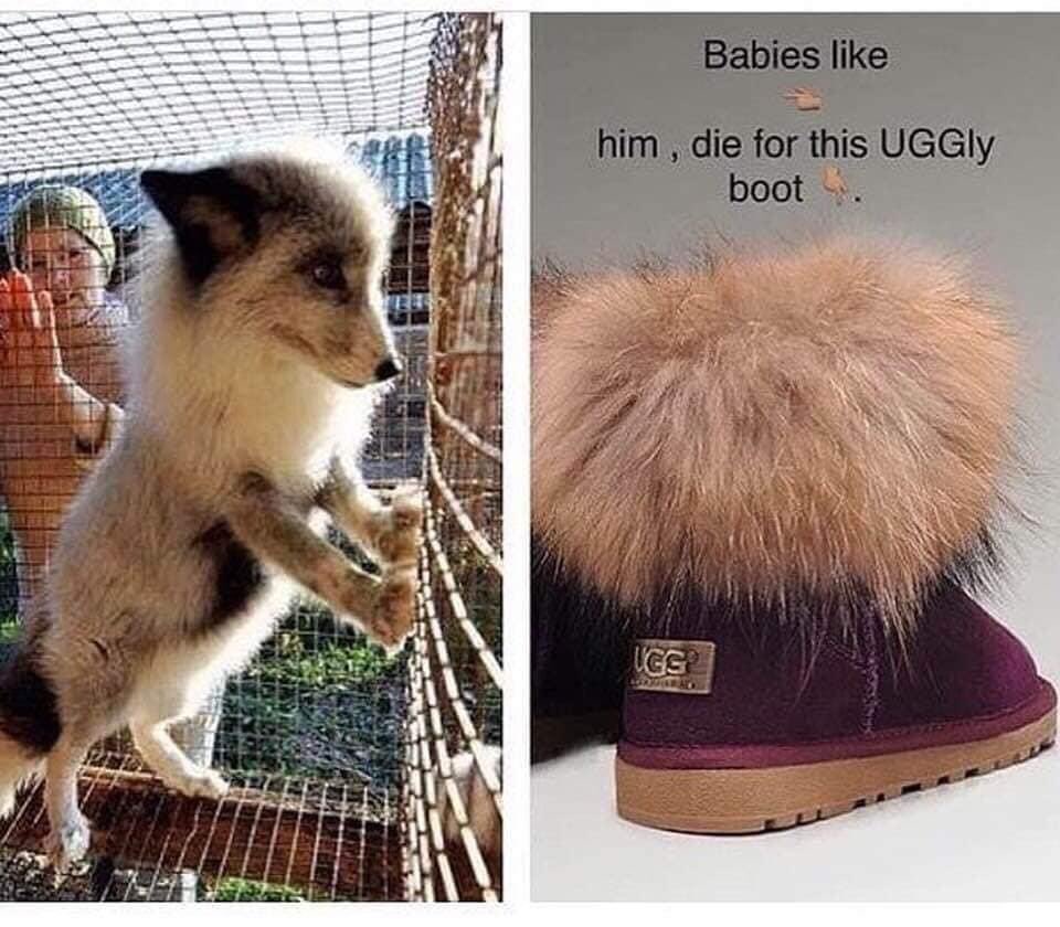 domdyer70's tweet photo. Think before you buy &amp; support the cruel fur trade https://t.co/BUyesMdUqi
