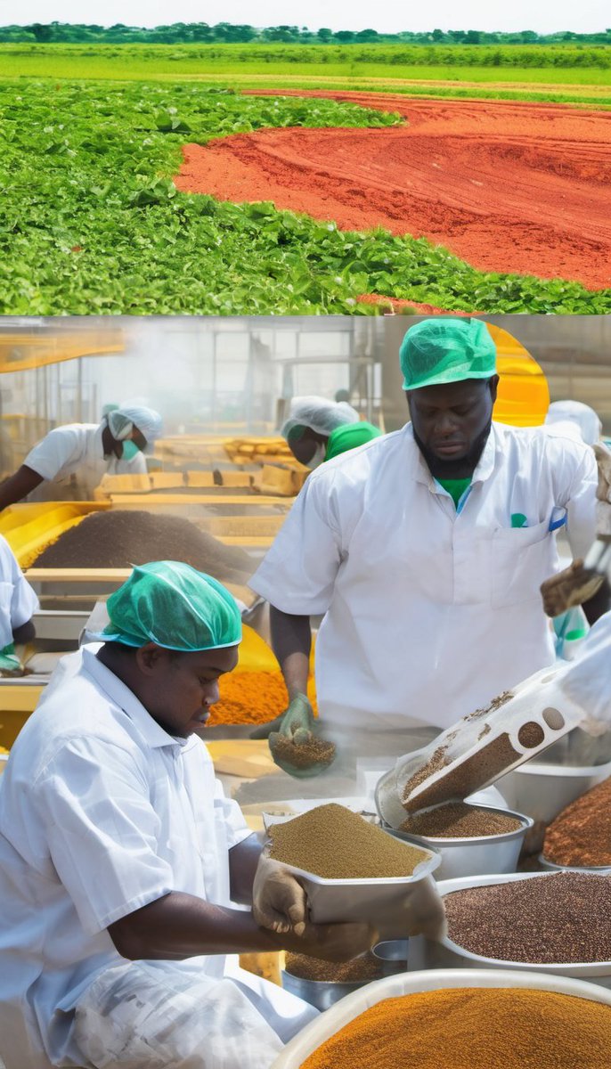 jerrytobi's tweet image. Calling all biofortifed food processors! 

We've got an exciting opportunity for biofortified &amp;amp; nutritious food producers! 

DM us to learn more! #BiofortifiedFoods #NutritiousEating #FoodProcessors