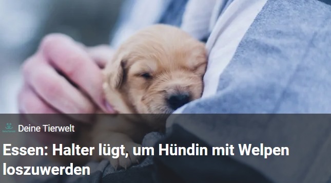 Landi tweet media