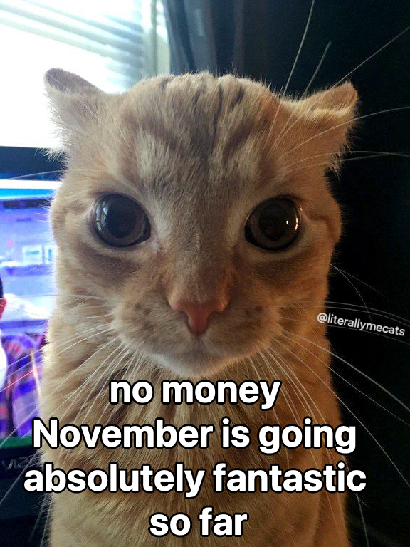 literallymecats's tweet photo. https://t.co/yGKsLey13n