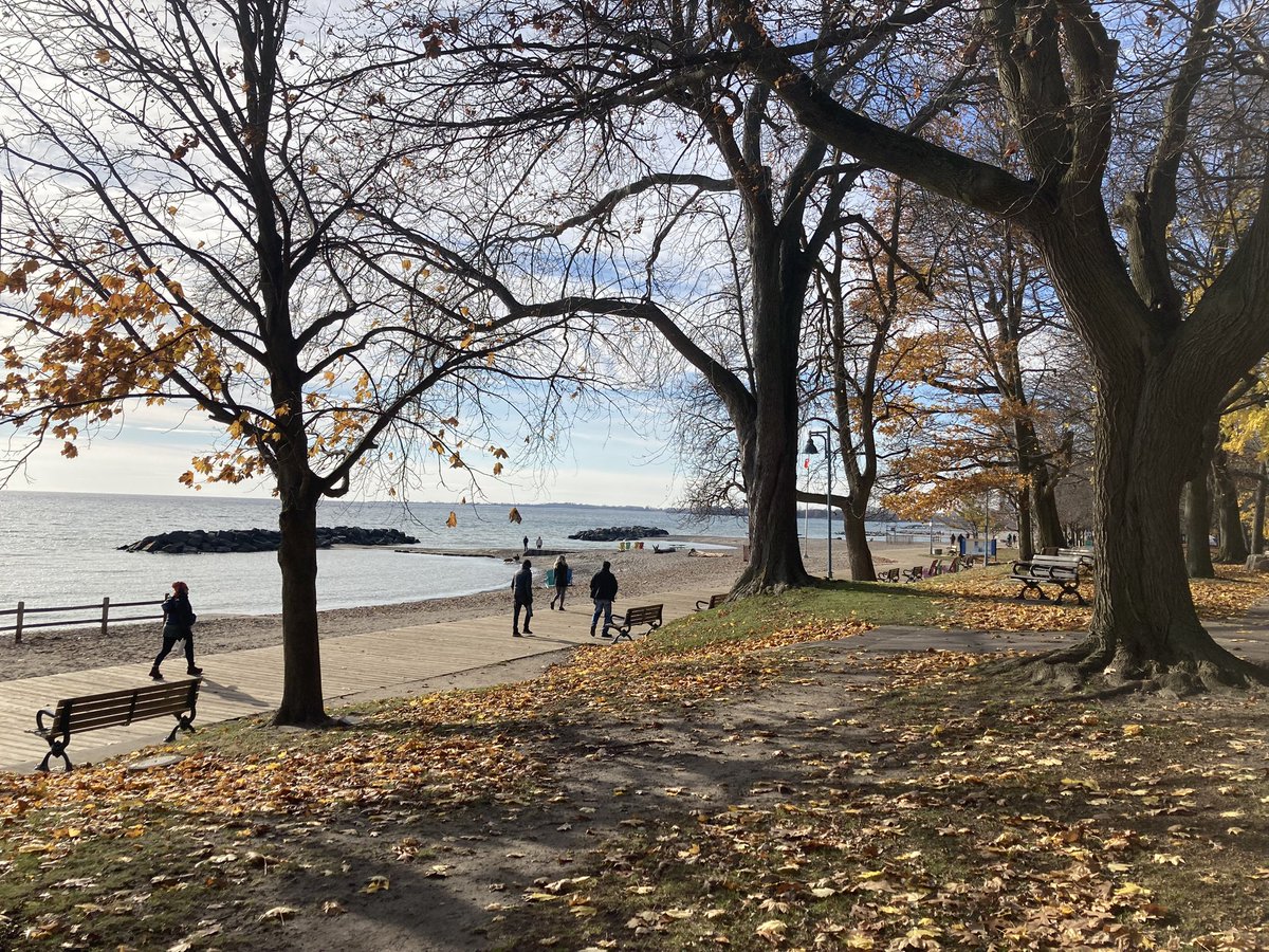 LTKnS's tweet image. What a two-wheeled commute 🚴‍♀️ gets you in the city: Top quality free Vitamin D ☀️ Therapy and many moments of unexpected peace &amp;amp; tranquility like this one  I stumbled upon down at Kew-Balmy Beach late this morning. 

#bikelife #bikeTO #exercisetherapy #movementismedicine
