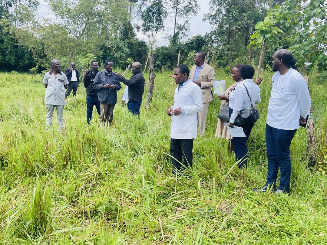 Albert Aheebwa tweet media