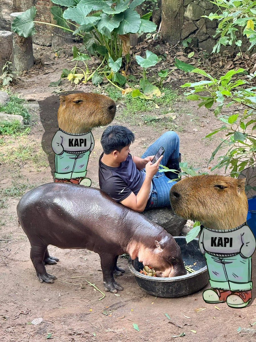 🔥 Hehe bois, KAPI Chill Challenge Giveaway: 500,000 $KAPI Up for Grabs! 🔥
.
💎 How to Join: 💎
1️⃣ Snap your chillest photo and add the KAPI Chill character to it.
2️⃣ Post it on X (Twitter), tag @Kapiplaracto, and include #KAPIchillchallenge.
.
You can download 'Chill KAPI' png
